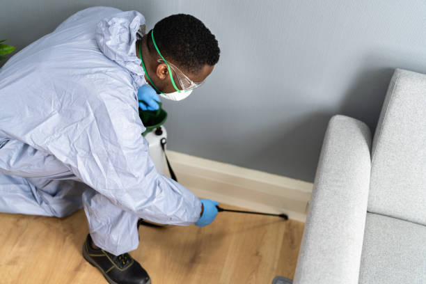 Best Real Estate Pest Inspections  in Paw Paw Lake, MI